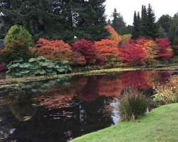 The beauty of the garden is maintained by 6 full-time gardeners and 1200 non-gardening volunteers. It is their hard work that the garden became the ce
